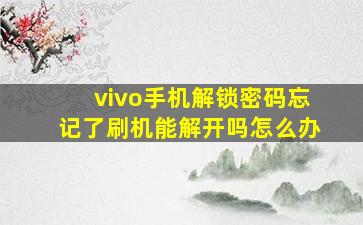 vivo手机解锁密码忘记了刷机能解开吗怎么办