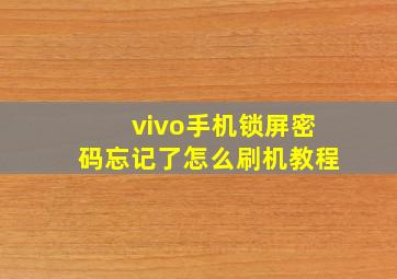 vivo手机锁屏密码忘记了怎么刷机教程