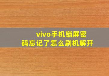 vivo手机锁屏密码忘记了怎么刷机解开