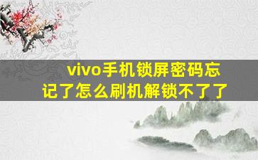 vivo手机锁屏密码忘记了怎么刷机解锁不了了