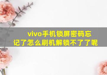 vivo手机锁屏密码忘记了怎么刷机解锁不了了呢