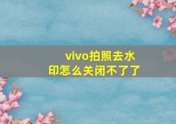 vivo拍照去水印怎么关闭不了了