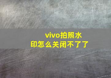 vivo拍照水印怎么关闭不了了