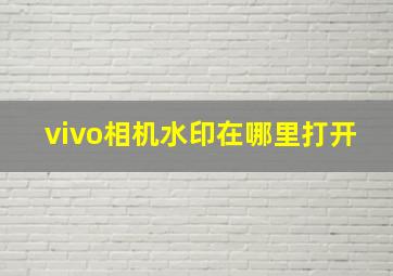 vivo相机水印在哪里打开