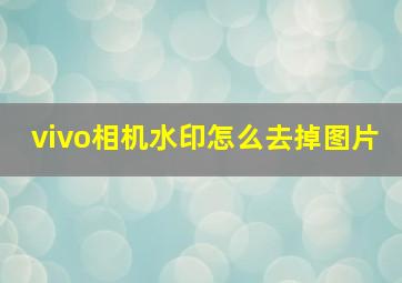 vivo相机水印怎么去掉图片