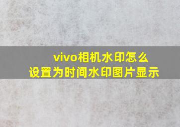 vivo相机水印怎么设置为时间水印图片显示