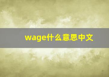 wage什么意思中文