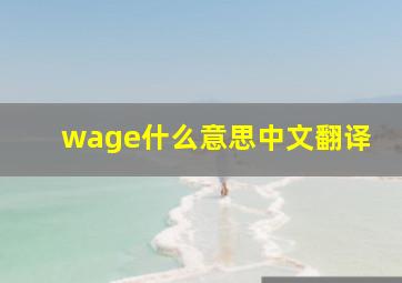 wage什么意思中文翻译