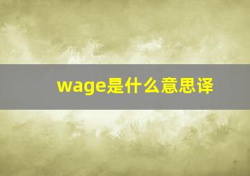 wage是什么意思译