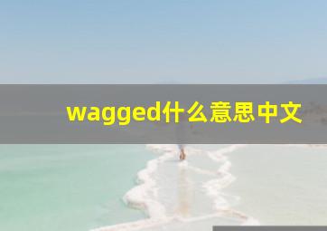 wagged什么意思中文