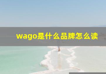 wago是什么品牌怎么读