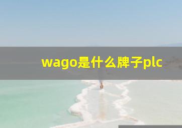 wago是什么牌子plc