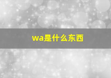 wa是什么东西