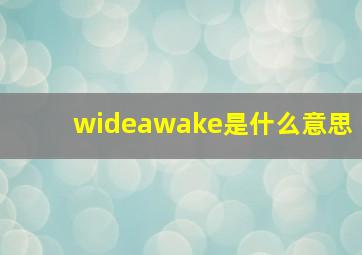 wideawake是什么意思