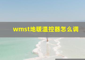 wmst地暖温控器怎么调