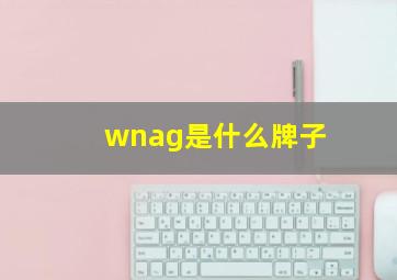 wnag是什么牌子