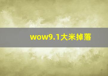 wow9.1大米掉落