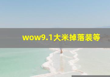 wow9.1大米掉落装等