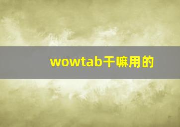 wowtab干嘛用的