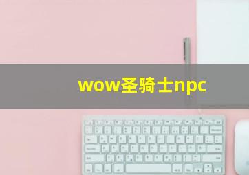 wow圣骑士npc