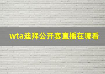 wta迪拜公开赛直播在哪看