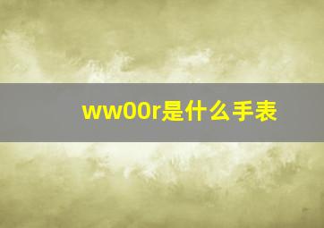 ww00r是什么手表