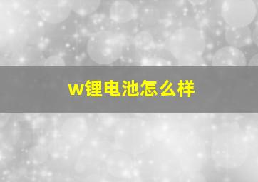 w锂电池怎么样