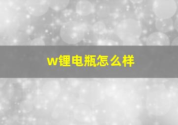 w锂电瓶怎么样