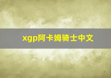 xgp阿卡姆骑士中文