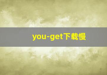 you-get下载慢