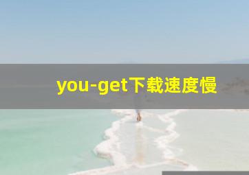 you-get下载速度慢