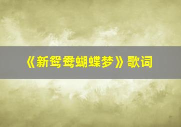 《新鸳鸯蝴蝶梦》歌词