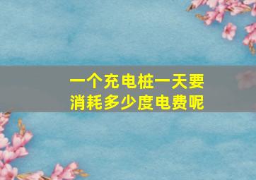 一个充电桩一天要消耗多少度电费呢