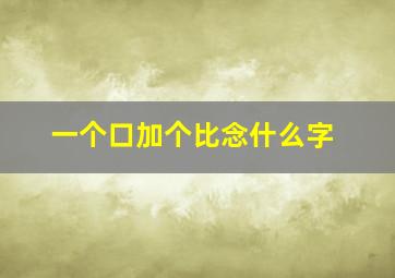 一个口加个比念什么字