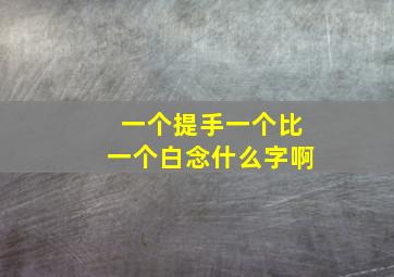 一个提手一个比一个白念什么字啊