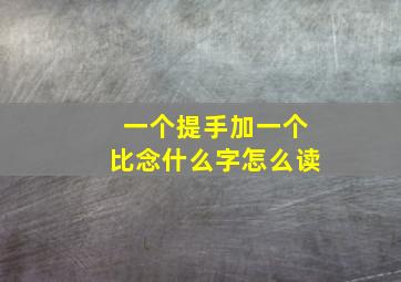 一个提手加一个比念什么字怎么读