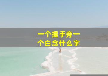 一个提手旁一个白念什么字