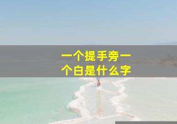 一个提手旁一个白是什么字