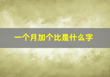 一个月加个比是什么字