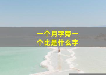 一个月字旁一个比是什么字