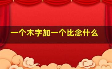 一个木字加一个比念什么