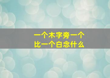 一个木字旁一个比一个白念什么