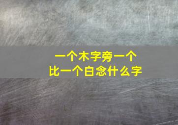 一个木字旁一个比一个白念什么字