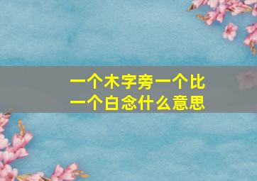 一个木字旁一个比一个白念什么意思