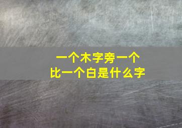 一个木字旁一个比一个白是什么字