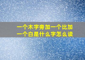 一个木字旁加一个比加一个白是什么字怎么读