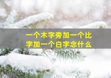 一个木字旁加一个比字加一个白字念什么