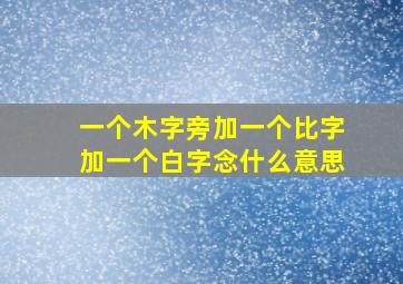 一个木字旁加一个比字加一个白字念什么意思