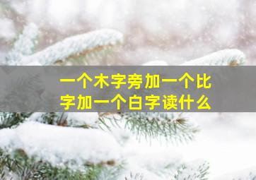 一个木字旁加一个比字加一个白字读什么