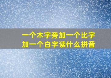 一个木字旁加一个比字加一个白字读什么拼音